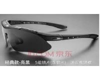 LENTES ROCKBROS CON LUNAS INTERCAMBIABLES 10003